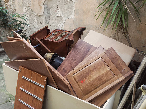 Best Yard Waste Removal  in Bridgman, MI